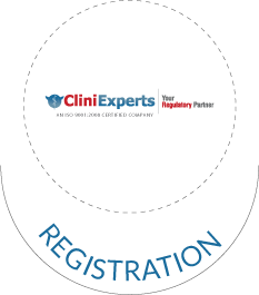 Regulatory Solutions for International Dossier Registration
