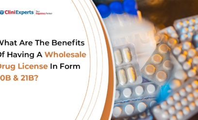 Wholesale Drug License