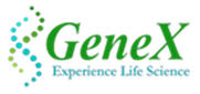 Genex India